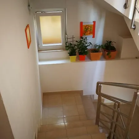 Buki-sea View Apartman *